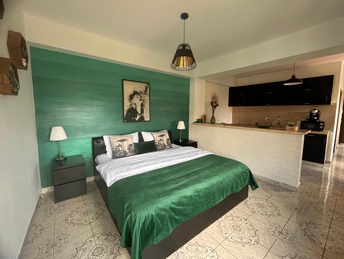 Natura City Center Studio Brasov Luaran gambar